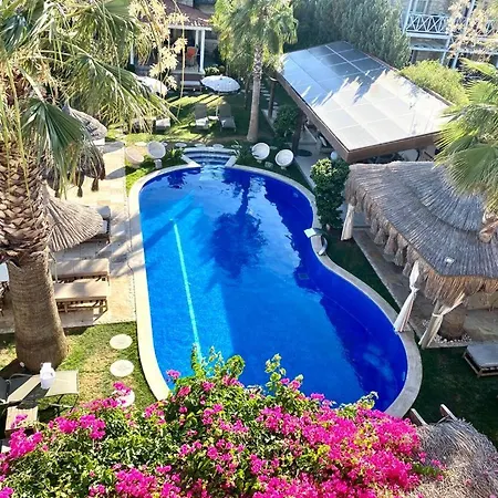 酒店 Tasquartas 阿拉恰特