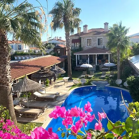 Tasquartas * 阿拉恰特